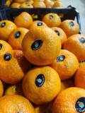 alwaha fruits mandarin