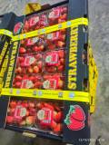 strawberry alwaha fruits